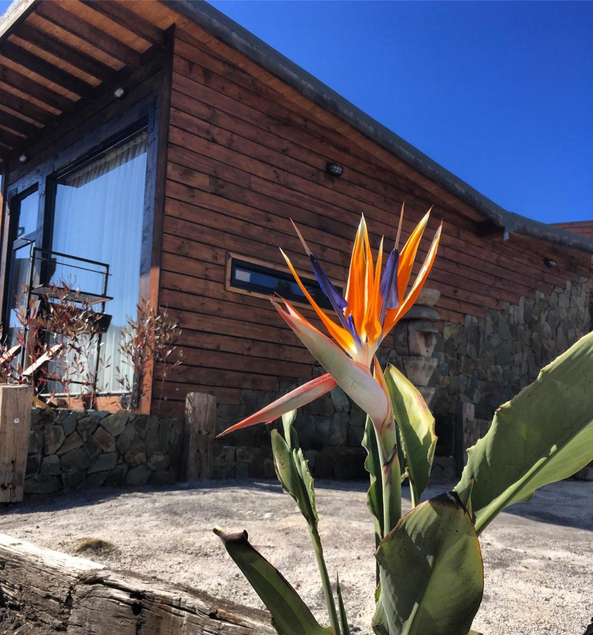 Palo Santo Bed & Breakfast Pichilemu Dış mekan fotoğraf